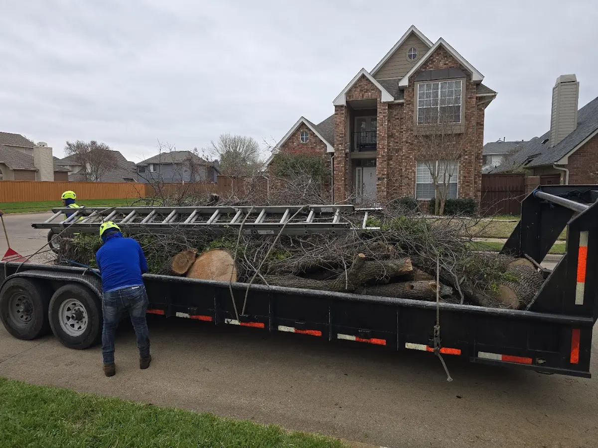 Expert Lot Clearing with proper safety equipment in Derwood